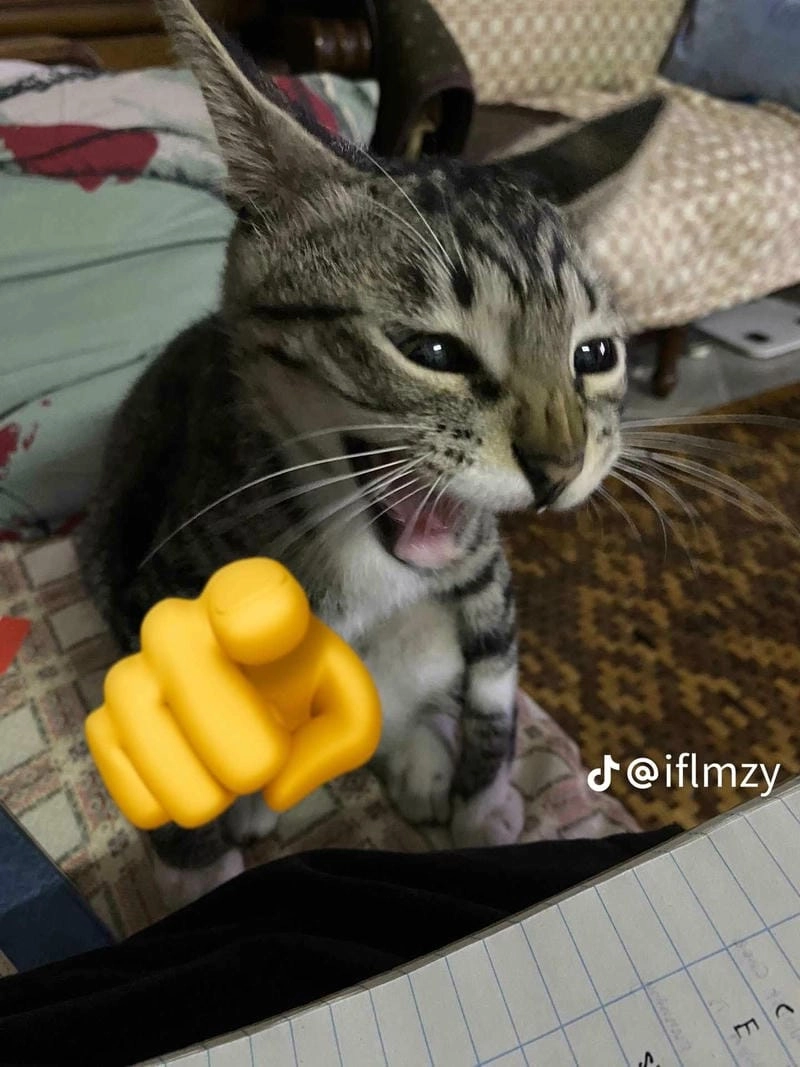 Cùng cười với những hình meme chỉ tay cười