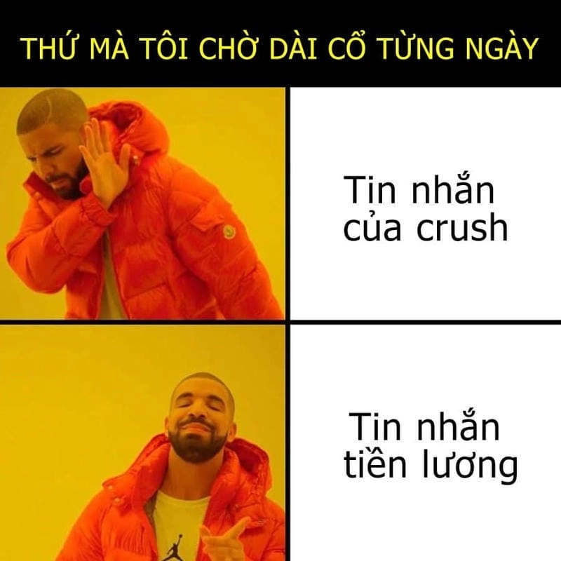 Ngắm nhìn vẻ đẹp meme chờ đợi tình yêu