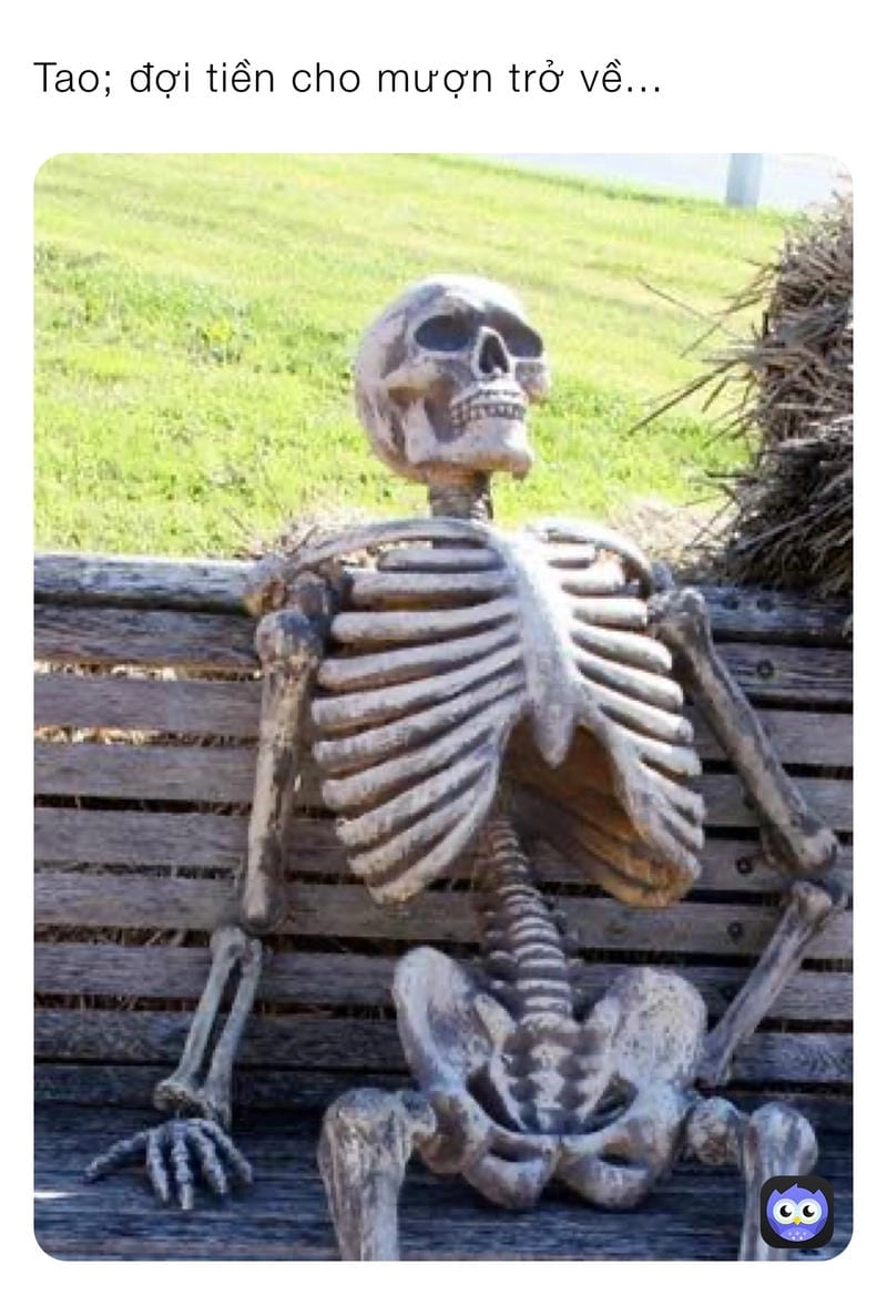 Tìm về meme chờ đợi trending