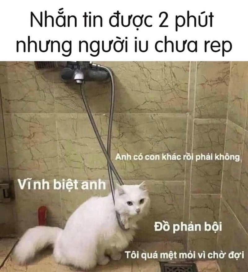 Săn lùng những khoảnh khắc meme chờ đợi vui