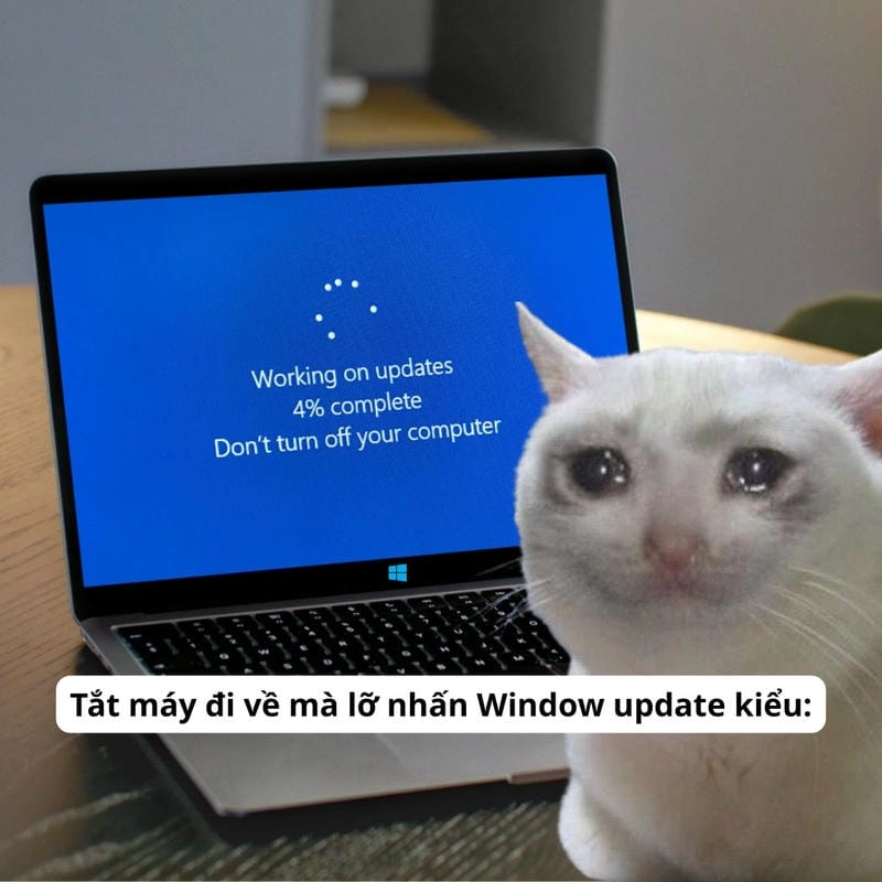 Lạc lối trong thế giới meme chờ đợi buồn cười