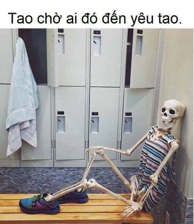 Thức dậy cùng những hình meme chờ người đến