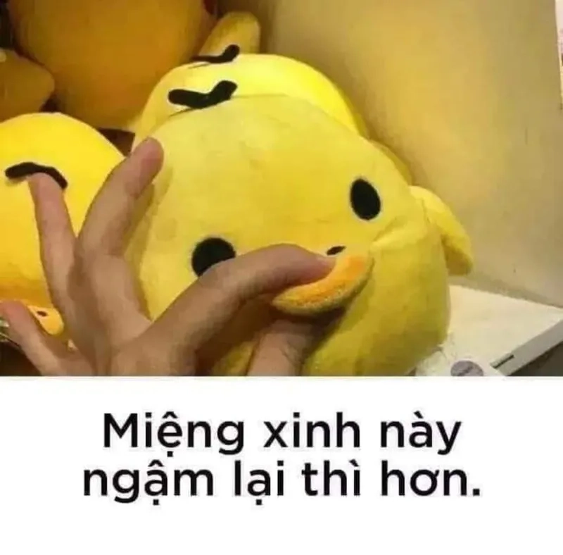Sưu tầm những bức meme chu mỏ biểu cảm