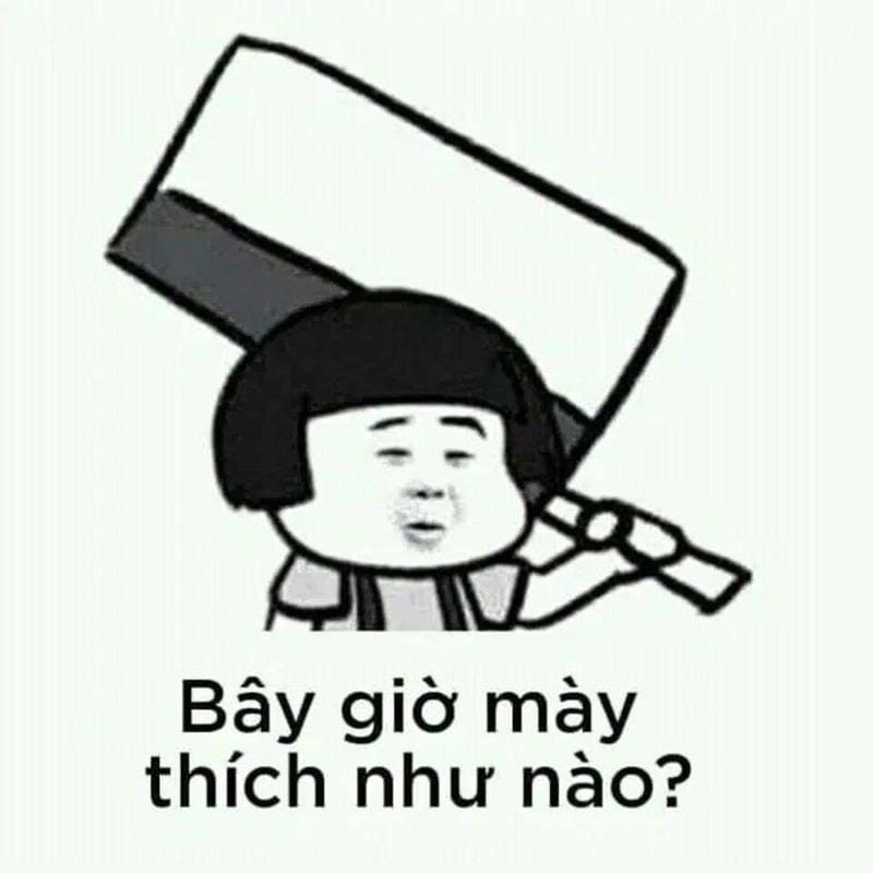 Khám phá những bức ảnh meme chửi hài hước