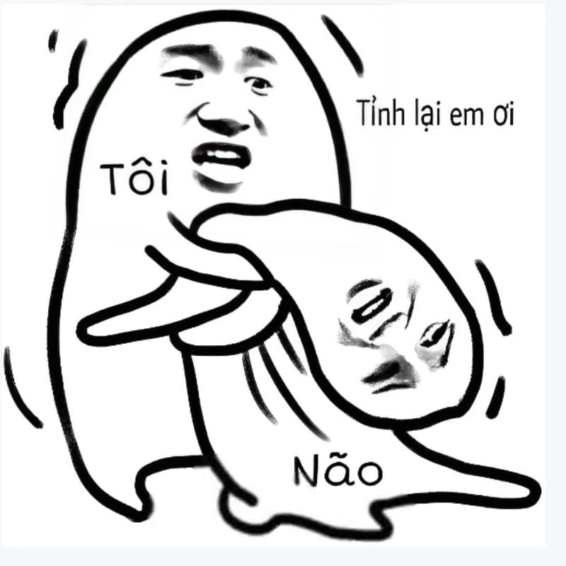 Lạc lối trong meme chửi giải trí