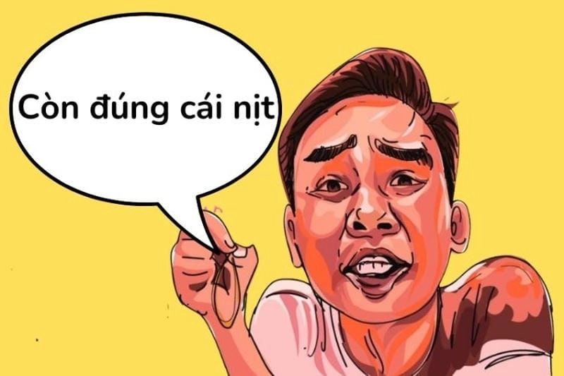 Tìm hiểu sức hút của meme có cái nịt