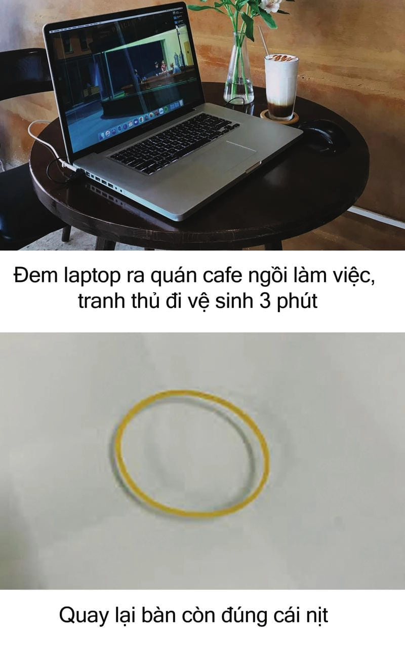 Săn lùng những khoảnh khắc meme có cái nịt troll