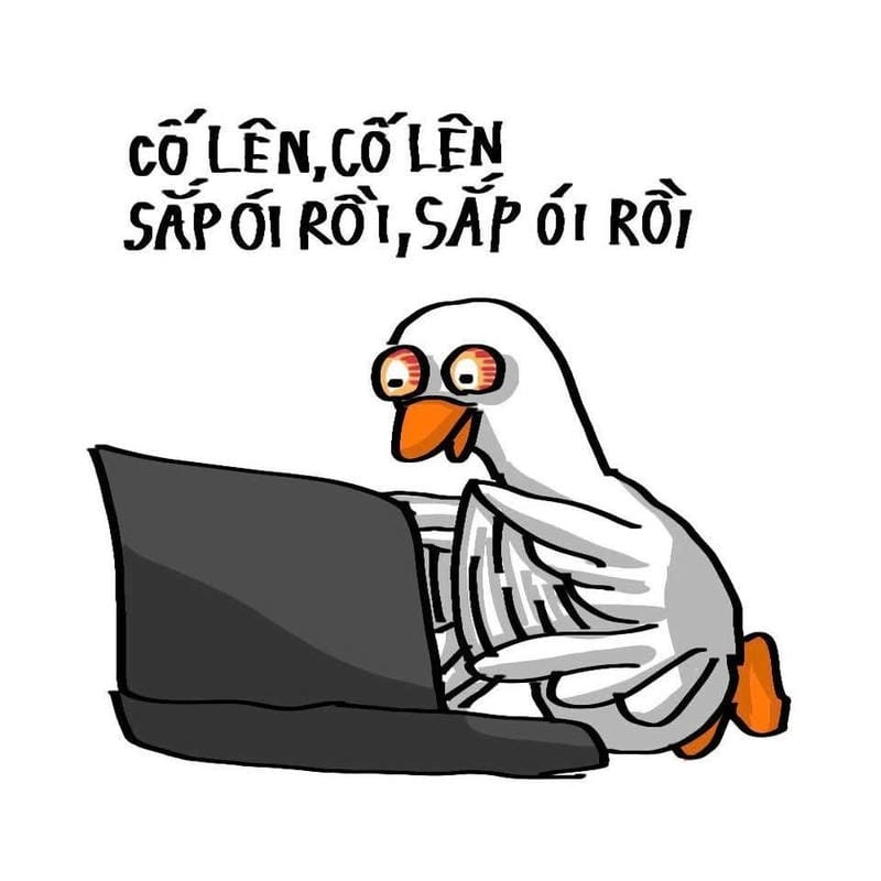 Thức dậy cùng những hình meme cố lên tạo động lực