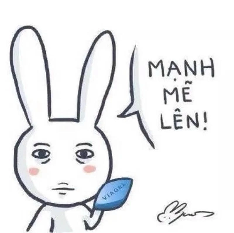 Ngắm nhìn vẻ đẹp meme cố lên học tập