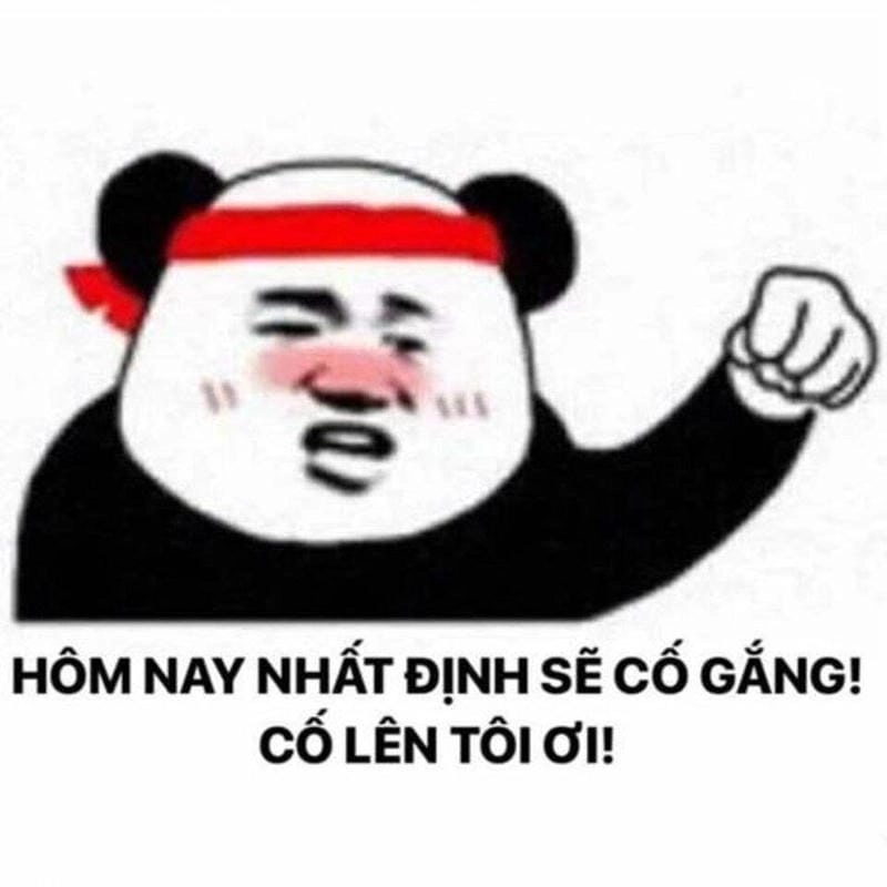 Sưu tầm những bức meme cố lên làm việc