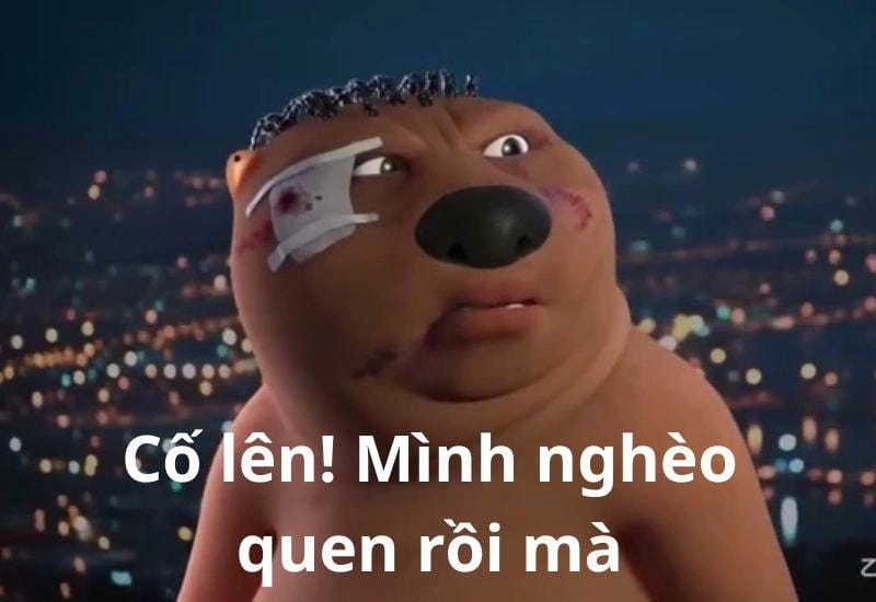 Lạc lối trong meme cố lên truyền cảm hứng