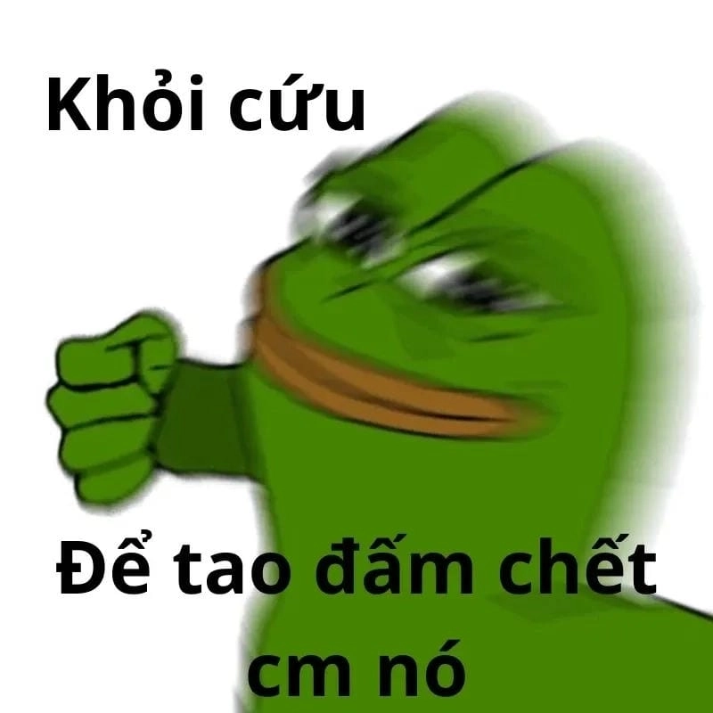 Thức dậy cùng những hình meme còn cứu được biểu cảm
