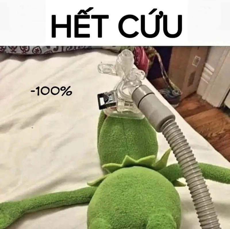 Cười sảng với meme còn cứu được ngộ nghĩnh