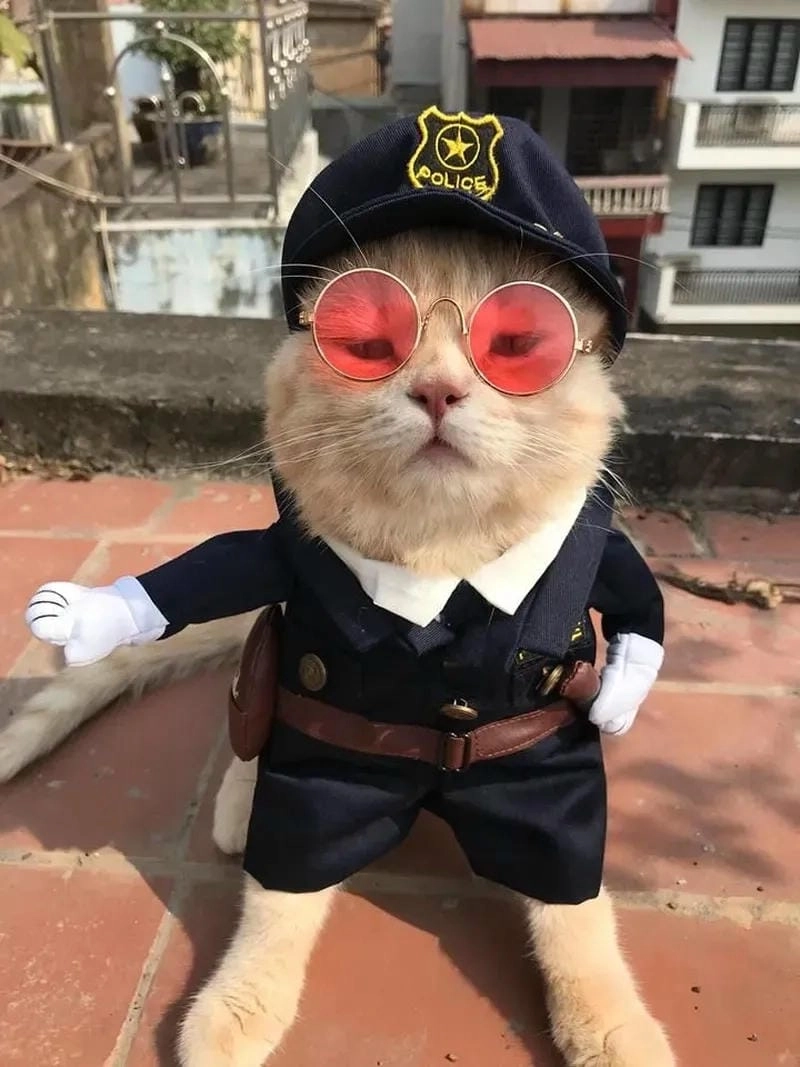 Tìm về meme công an dễ thương