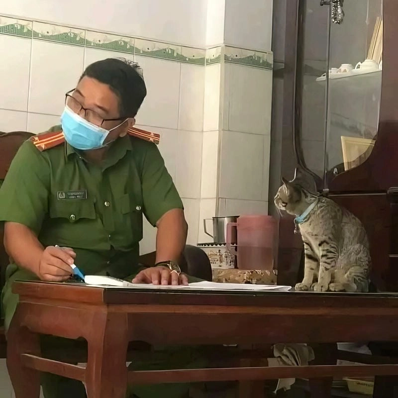 Cùng cười với những hình meme công an phản ứng