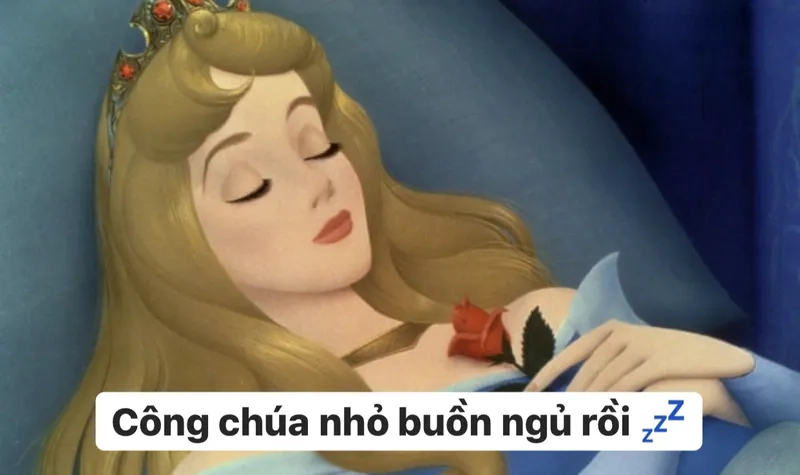 Lạc lối trong thế giới ảnh meme công chúa