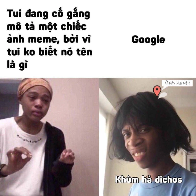 Cùng du ngoạn meme cười độc đáo