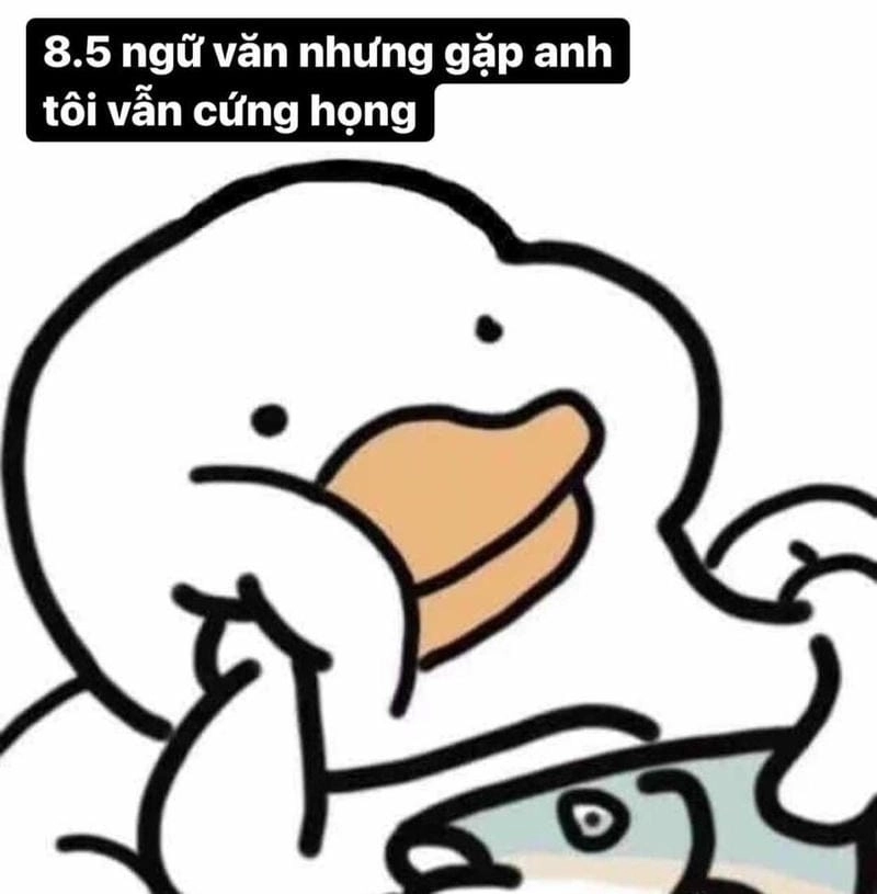 Khám phá những bức ảnh meme cute dễ thương