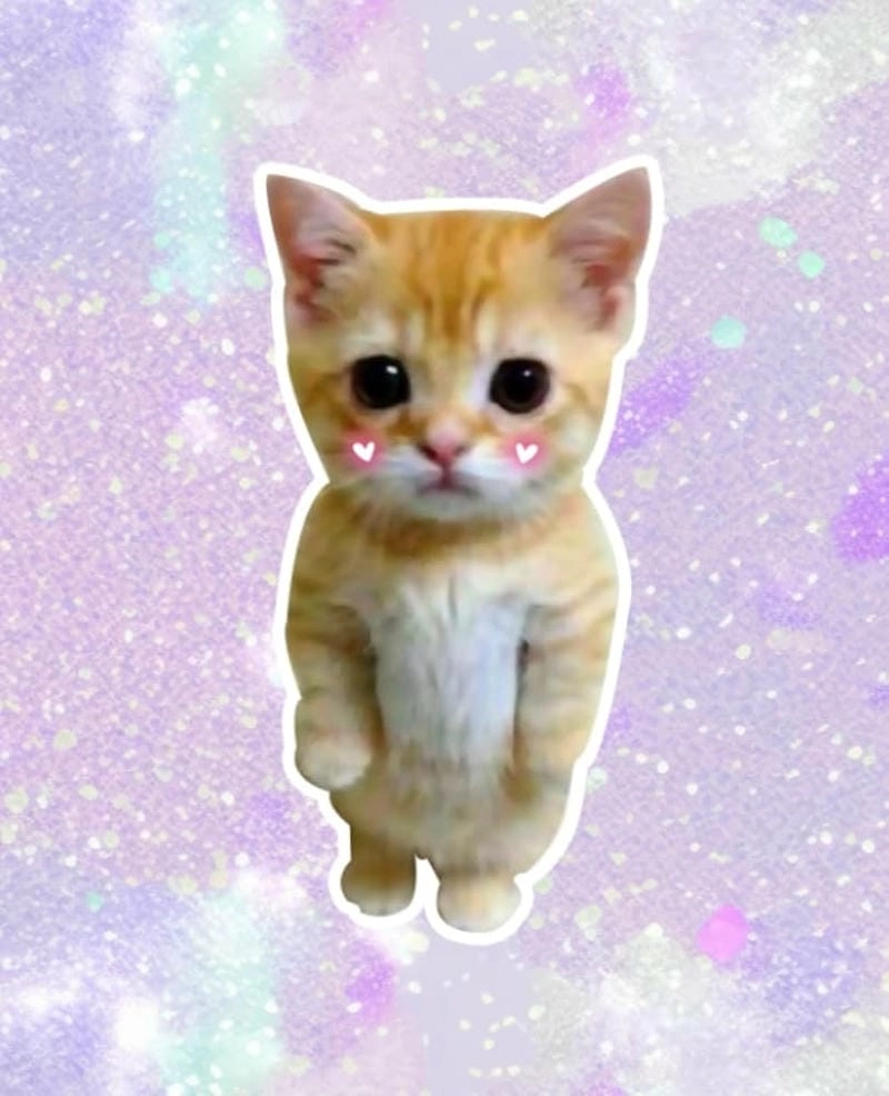 Cùng du ngoạn meme cute chế ảnh