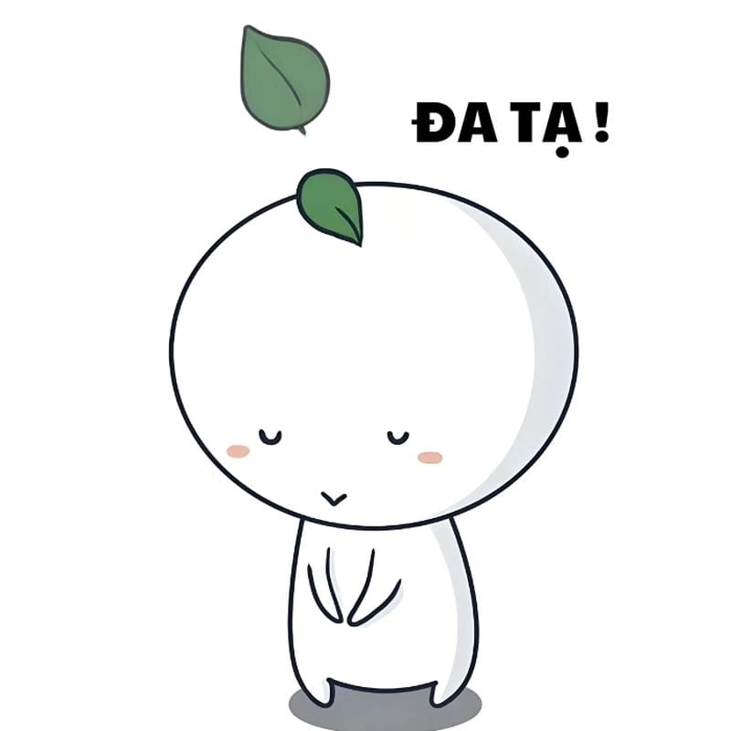 Thức dậy cùng những hình meme đa tạ viral