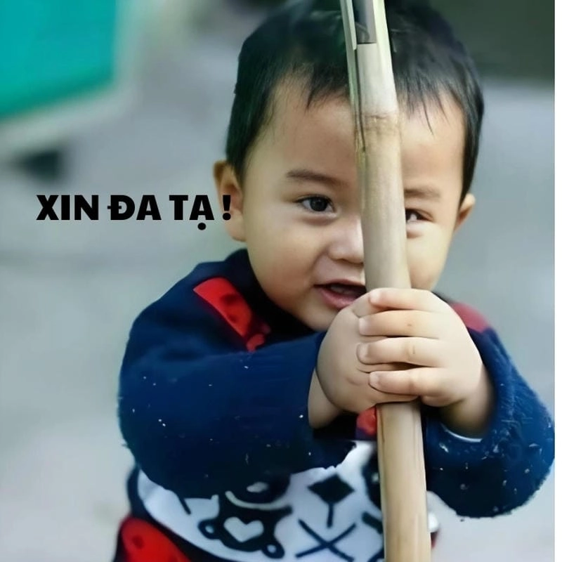 Tìm về meme đa tạ tiếng Việt