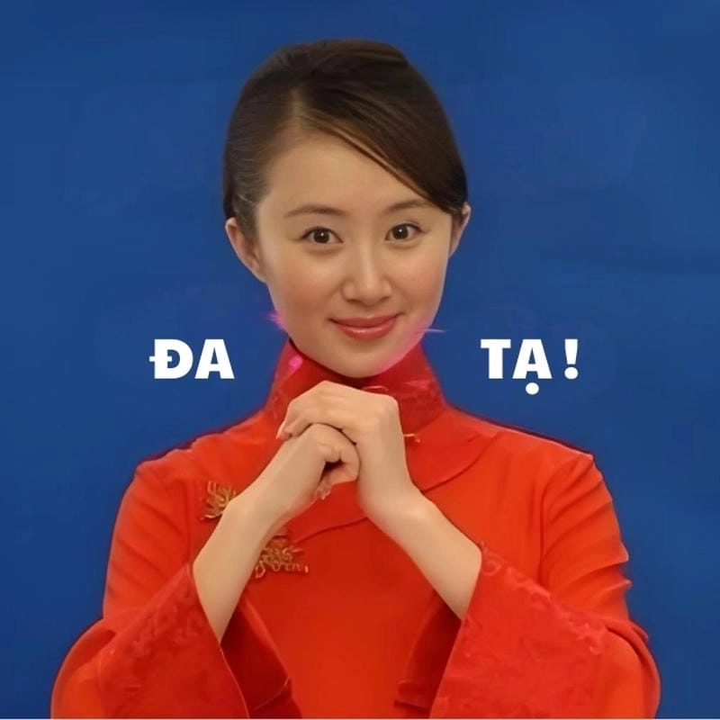 Ngắm nhìn vẻ đẹp meme đa tạ troll