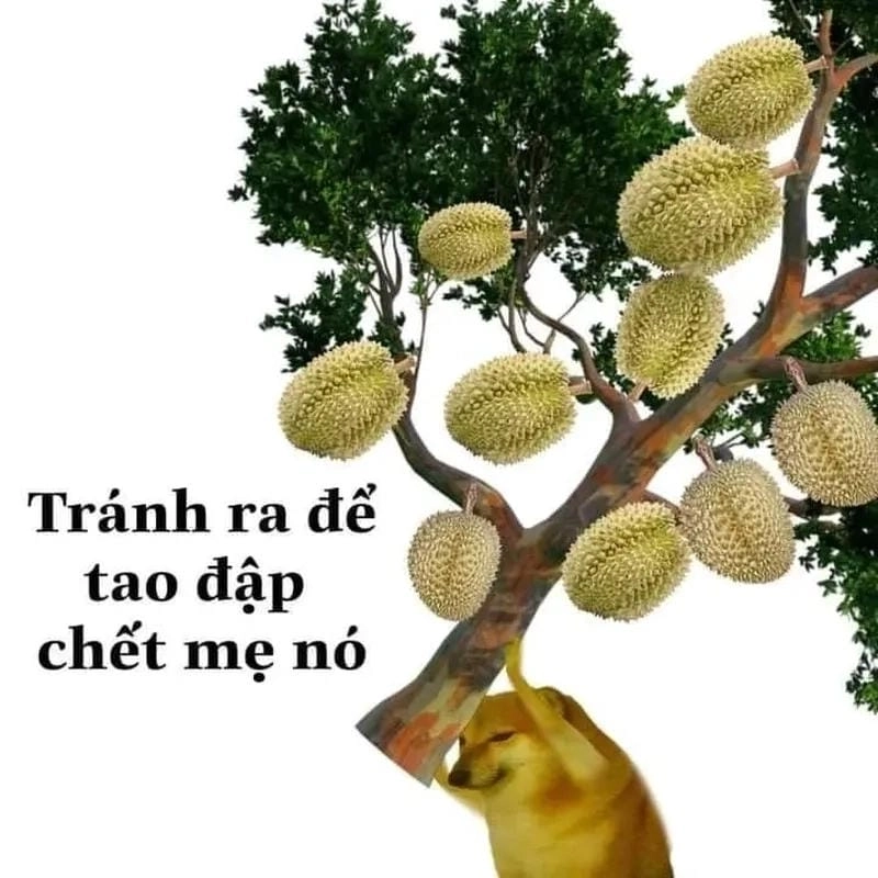 Cùng du ngoạn meme đấm nhau vui nhộn