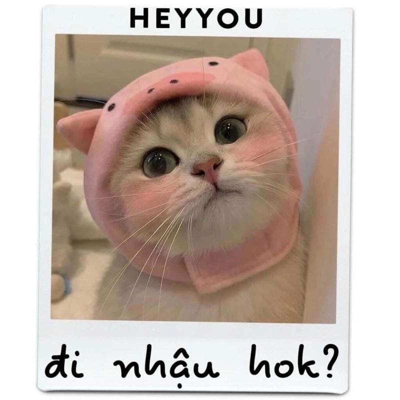 Thức dậy cùng những hình meme đáng yêu dễ thương