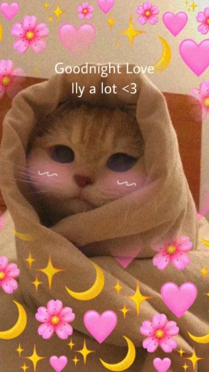 Sưu tầm những bức meme đáng yêu đời sống