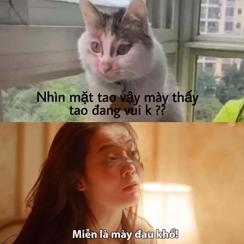 Cùng du ngoạn meme đau khổ vui