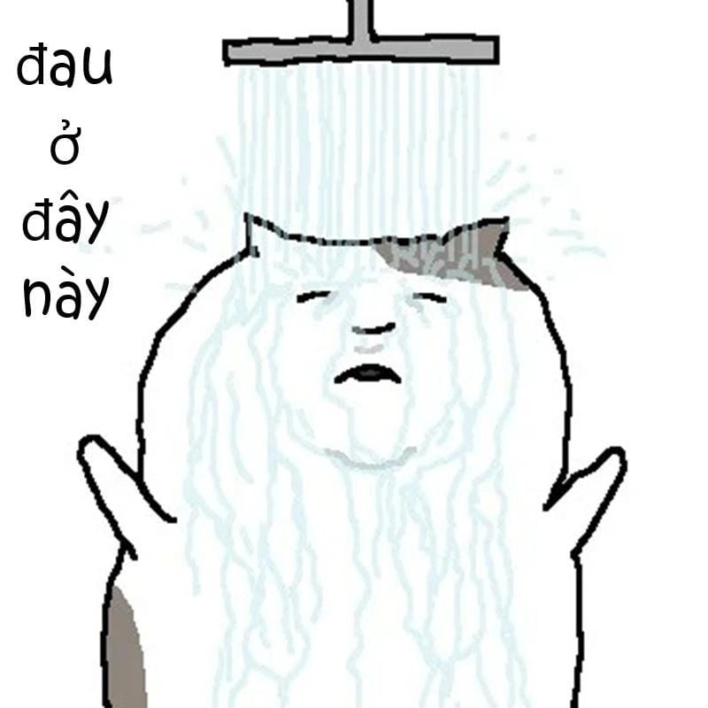 Lạc lối trong meme đau ở đây này ngầu