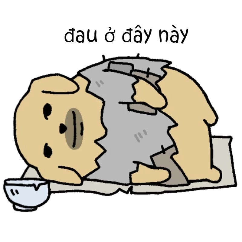 Khám phá những bức meme đau ở đây này hài hước