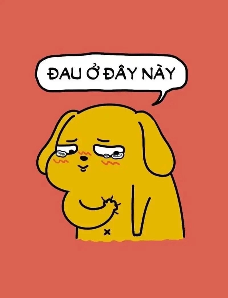 Cùng cười với những hình ảnh meme đau ở đây này