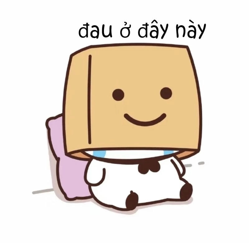 Lạc lối trong thế giới meme đau ở đây này buồn cười