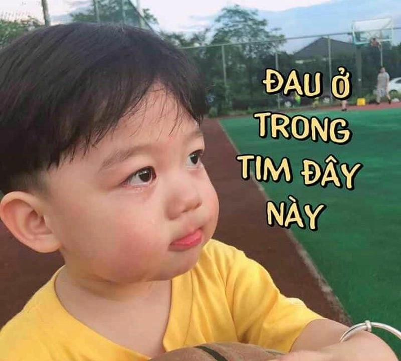 Ngắm nhìn vẻ đẹp meme đau ở đây này mới nhất