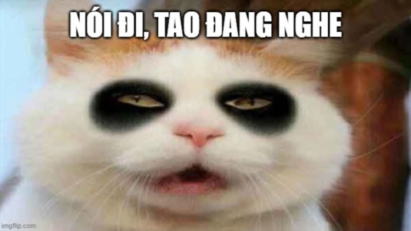 Săn lùng những khoảnh khắc meme đi ngủ troll