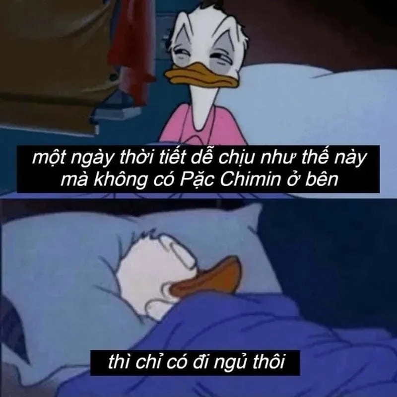 Gợi ý những bức meme đi ngủ cute