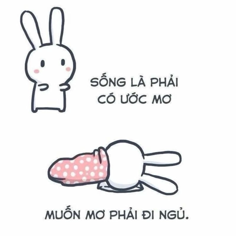 Ngắm nhìn vẻ đẹp meme đi ngủ đáng yêu
