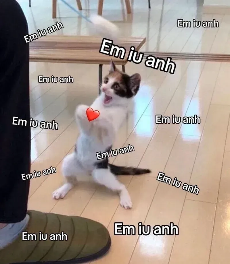 Khám phá những bức meme dỗ người yêu hài hước