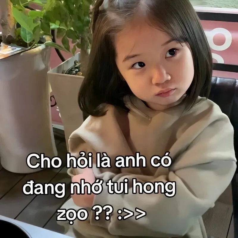 Lạc lối trong thế giới ảnh meme dỗ người yêu