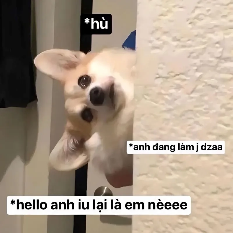Ngắm nhìn vẻ đẹp meme dỗ người yêu chế
