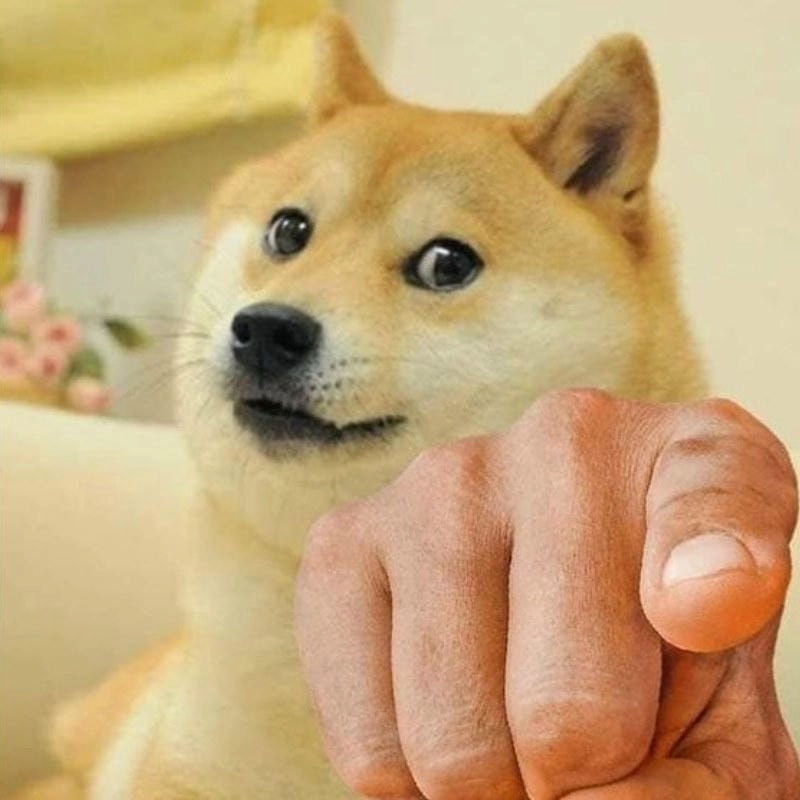 Sưu tầm những bức meme dog phản ứng