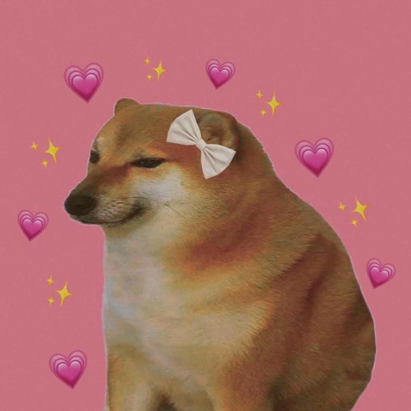 Cùng du ngoạn meme dog troll