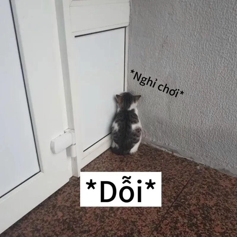 Sưu tầm những bức meme dỗi ảnh chế