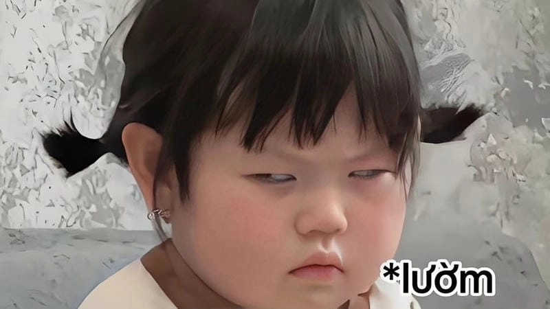 Lạc lối trong thế giới meme em bé troll