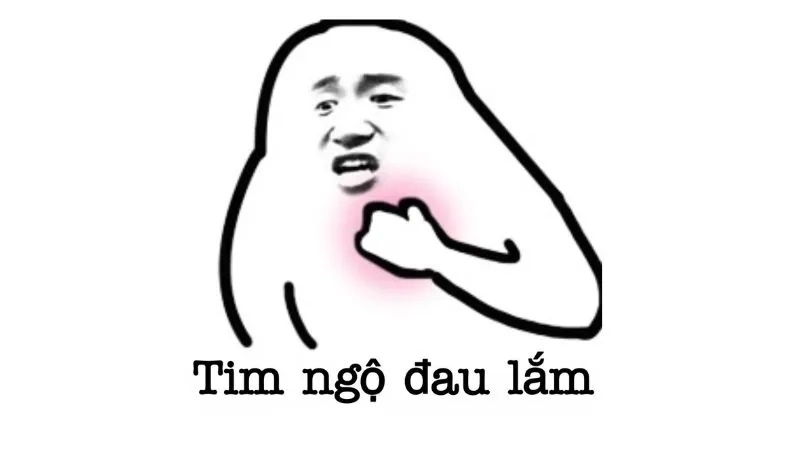 Khám phá những bức meme funny hài hước