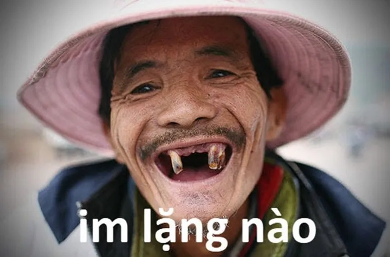 Ngắm nhìn vẻ đẹp meme funny cute