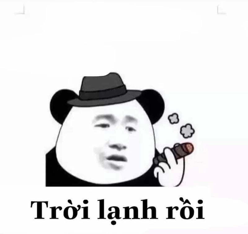 Săn lùng những khoảnh khắc meme gấu trúc cute