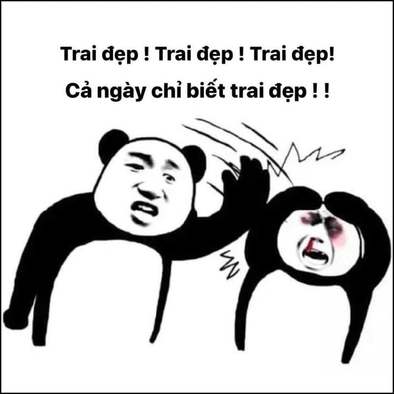Lạc lối trong thế giới meme gấu trúc vui nhộn