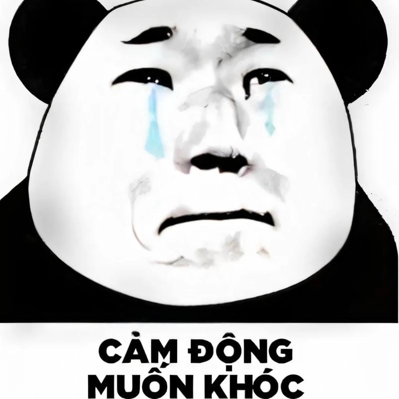 Sưu tầm những bức meme gấu trúc đáng yêu